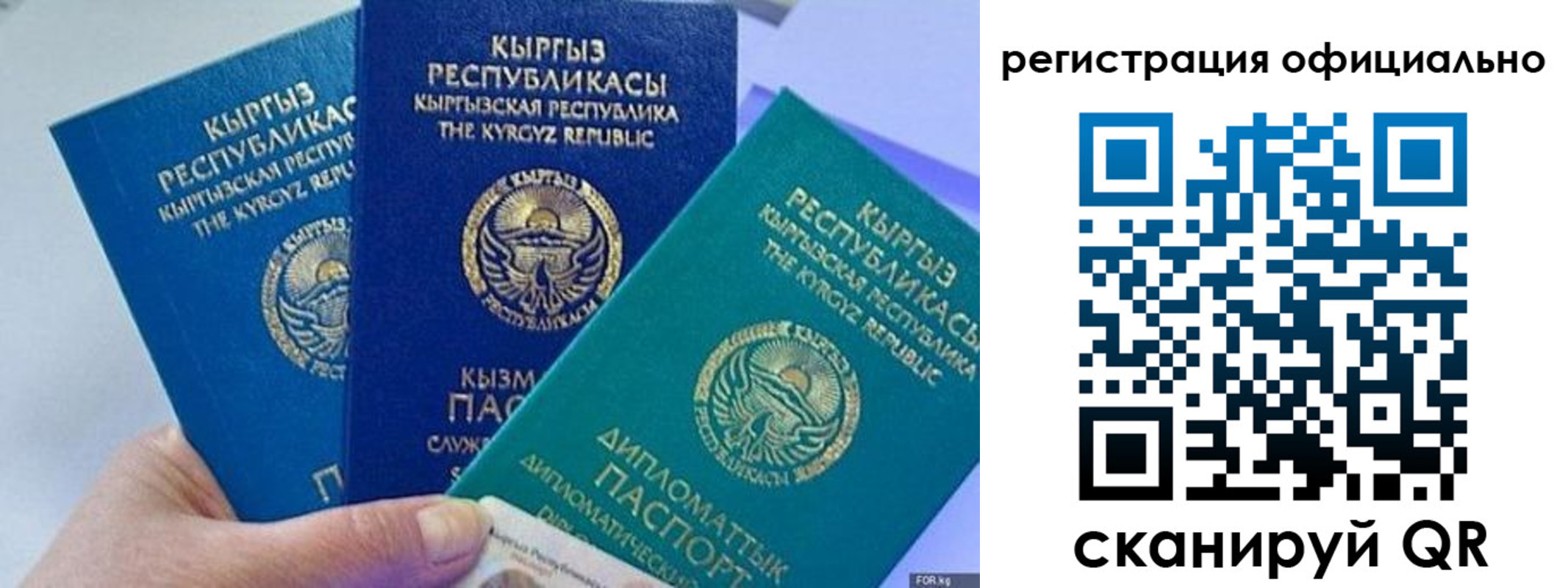 прописка в Камешково